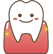歯ぐきの主成分もコラーゲン